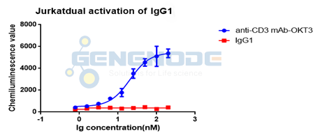 人IgG1作为T细胞激活研究中的阴性对照