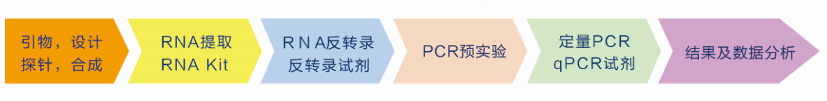 qPCR实验流程图