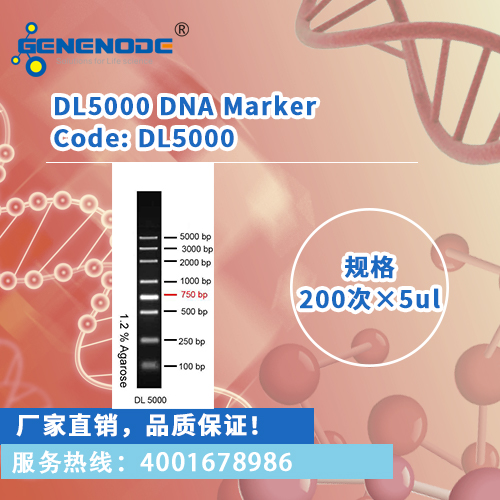 dl5000 dna marker