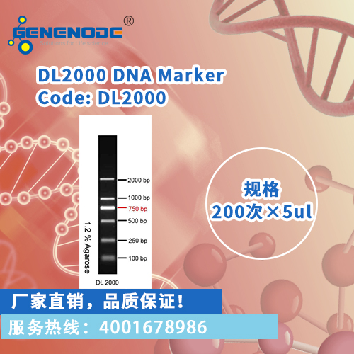 dl2000dnamarker